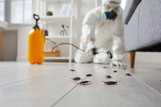 Post-Treatment Bed Bug Interceptor Monitoring in Lambertville