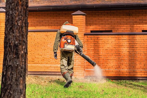 Bed Bug Clearance Verification and Documentation in Lambertville
